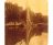 Foto genomen omstreeks 1900 in Dordrecht